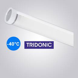 TUBULAR-TRIDONIC -40&deg;
